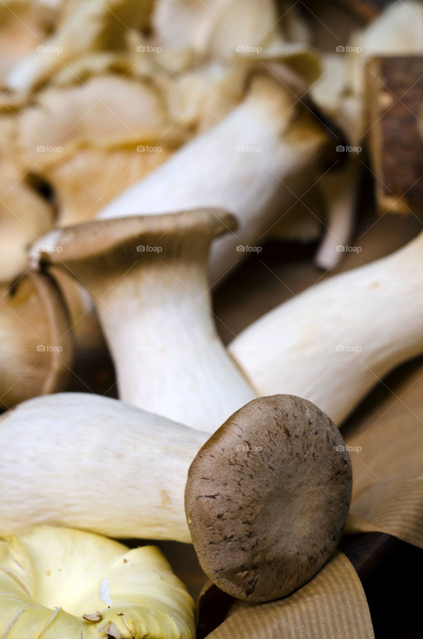 beige brown mushrooms display by grwiffen