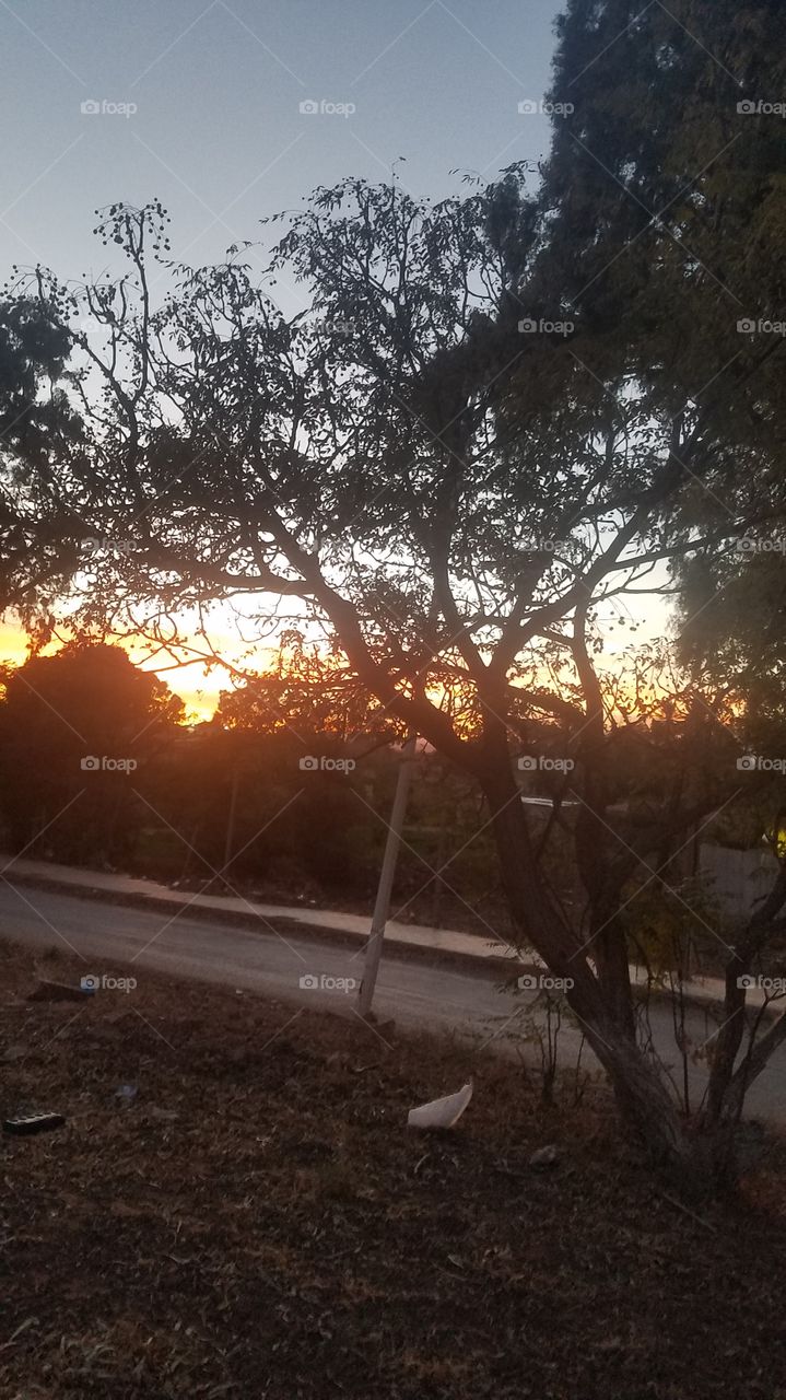 Red twilight before sunset