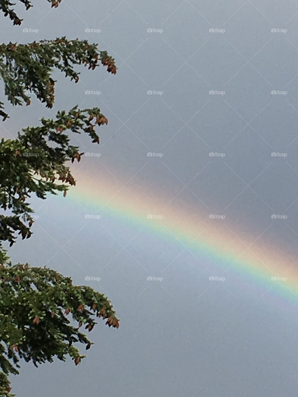 Rainbow over Portland Oregon 
