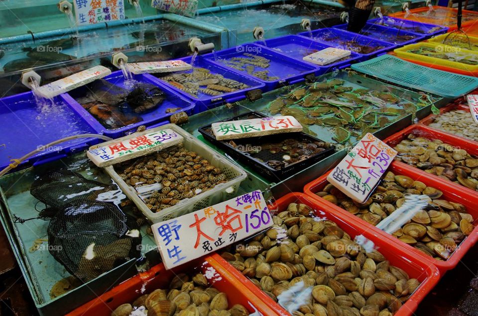 Taiwan Fish Market
