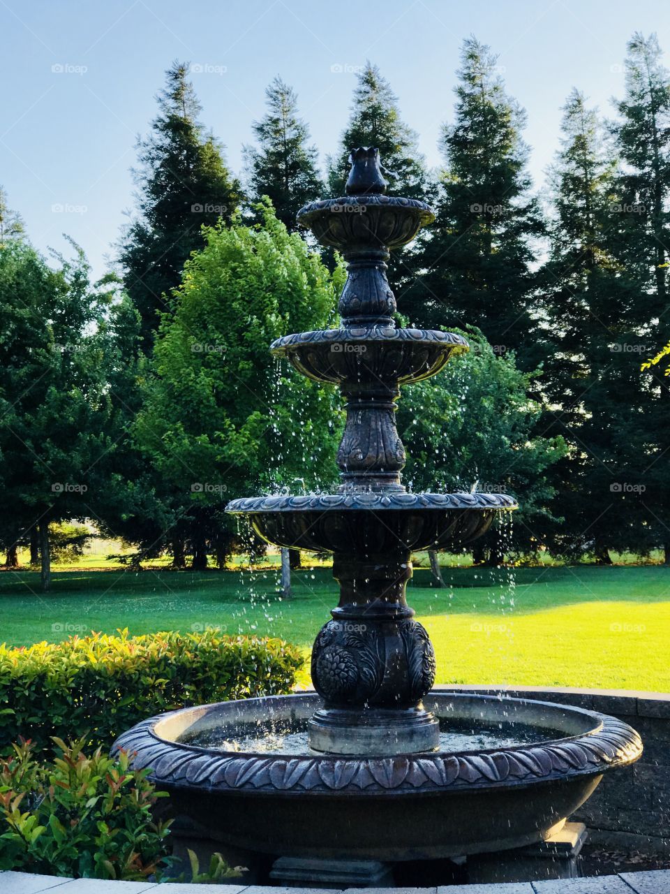 The beauty of the old fountain and the beautiful green background of grass and trees.