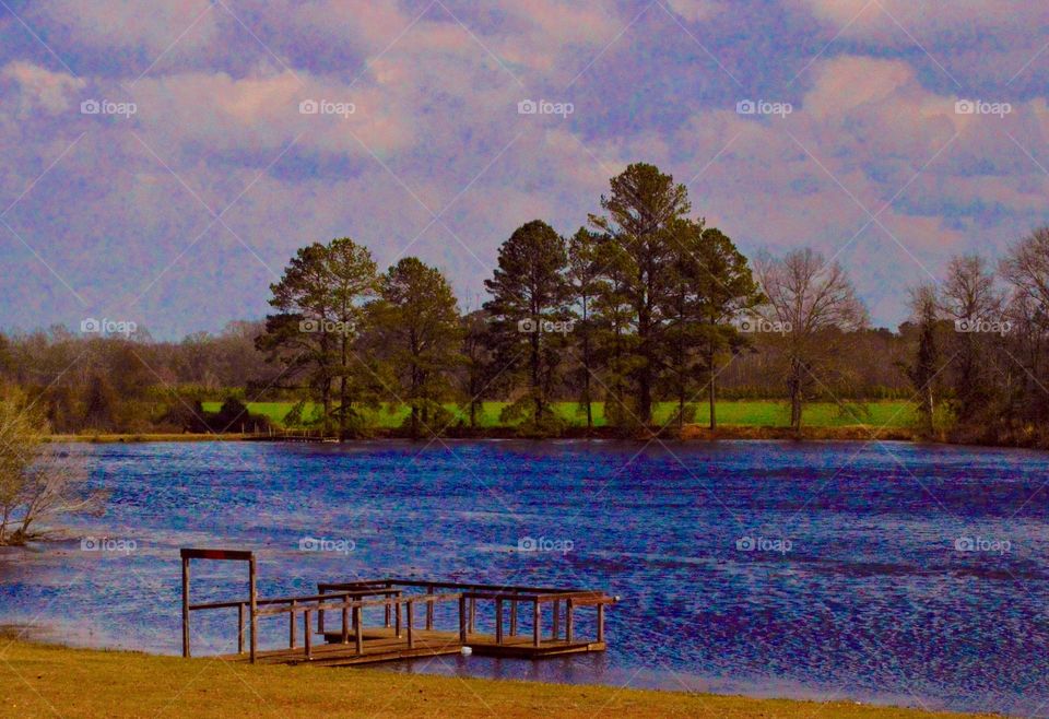 Wind blown pond 