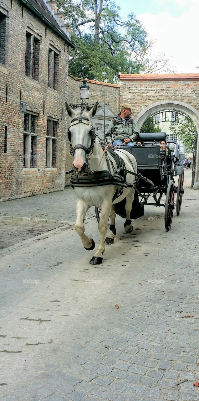 Carriage Ride