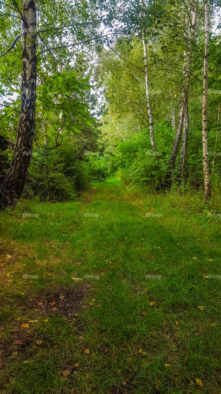 road