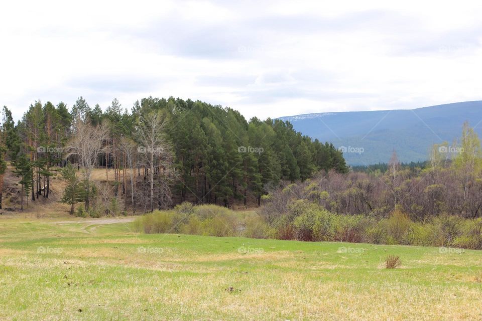 Hills, fields and trees