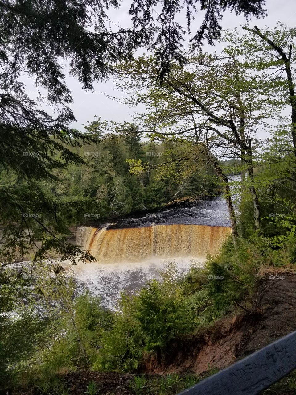 Waterfall in Michigan! So beautiful to see nature.