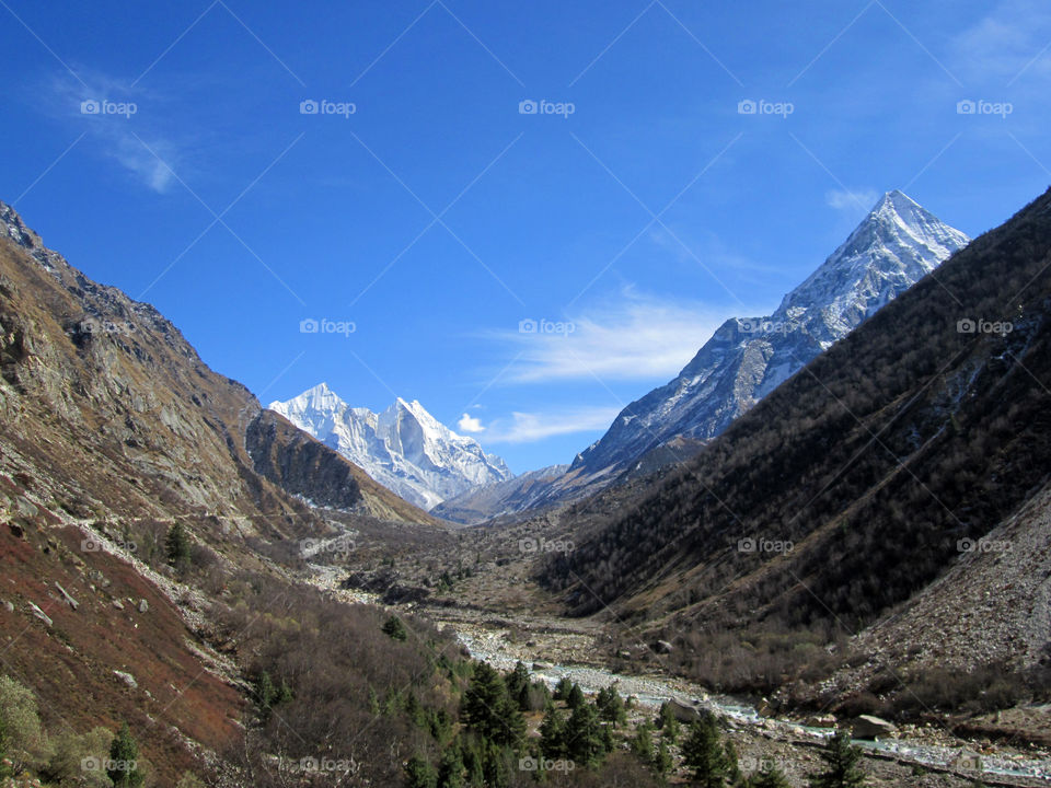 Gangotri National Park