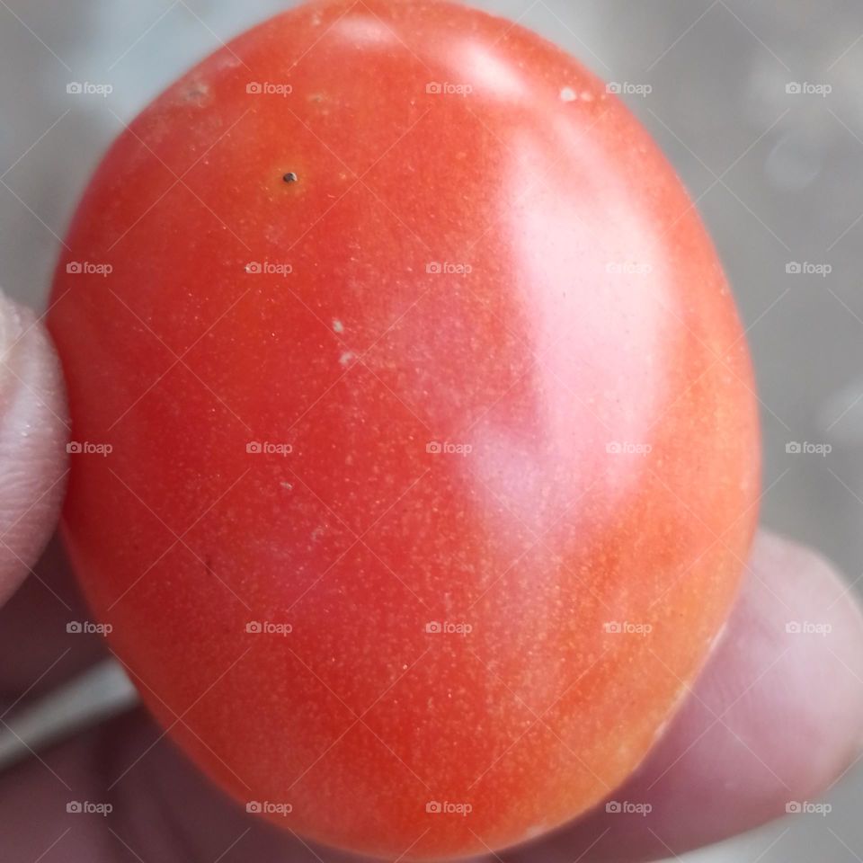 red tomato