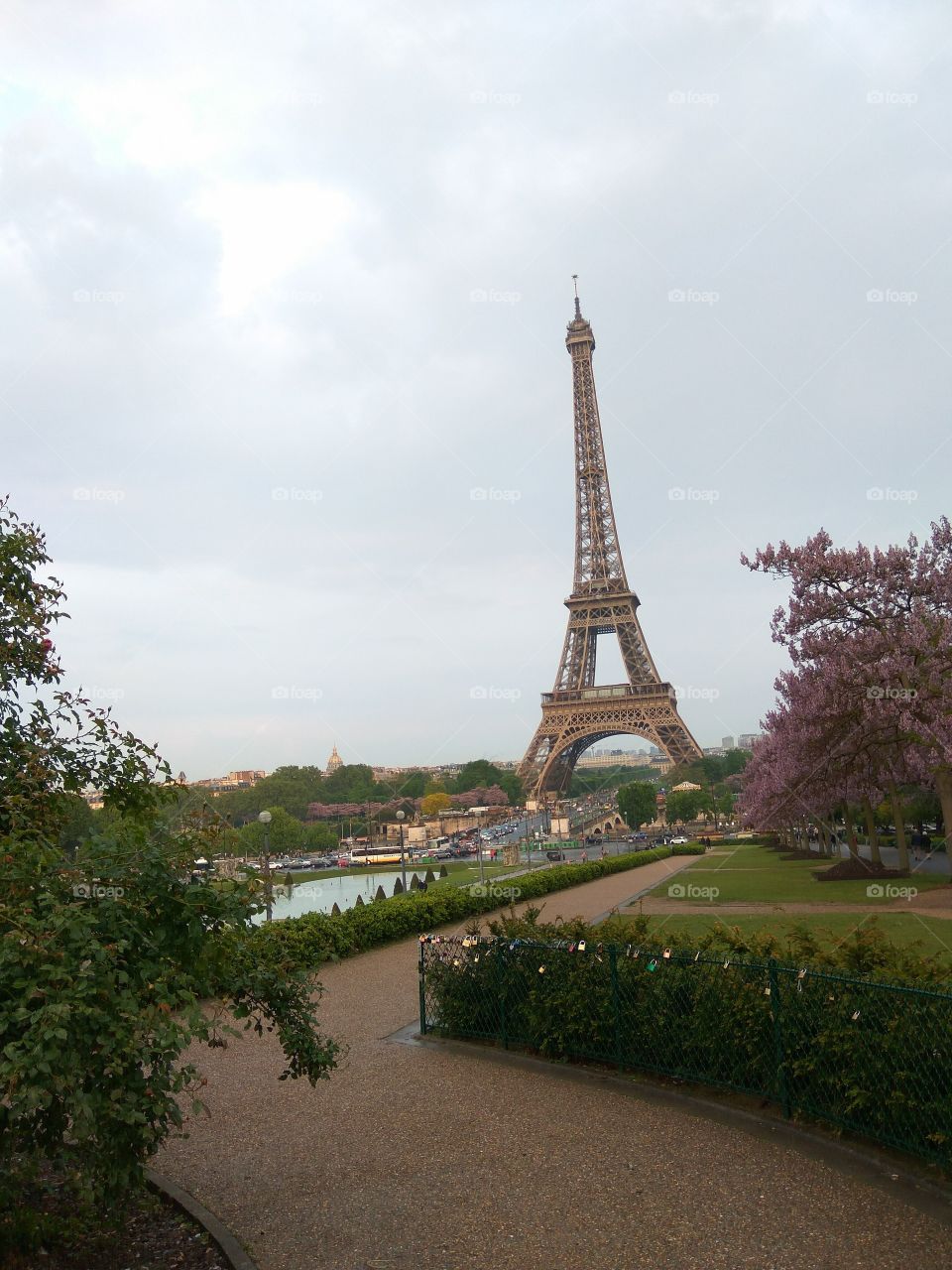 tower eiffel view
