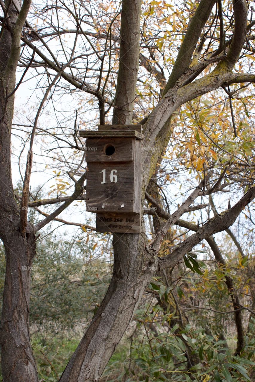 Bird house