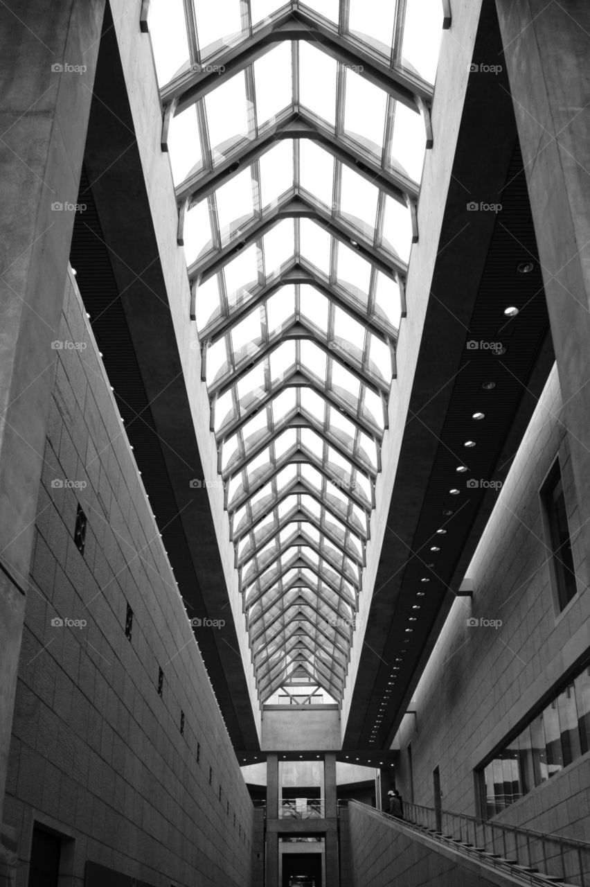 Skylight symmetry in black and white