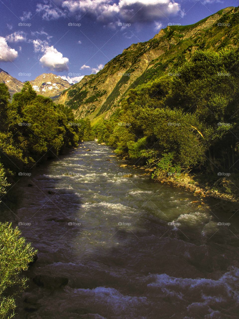 French Alps 