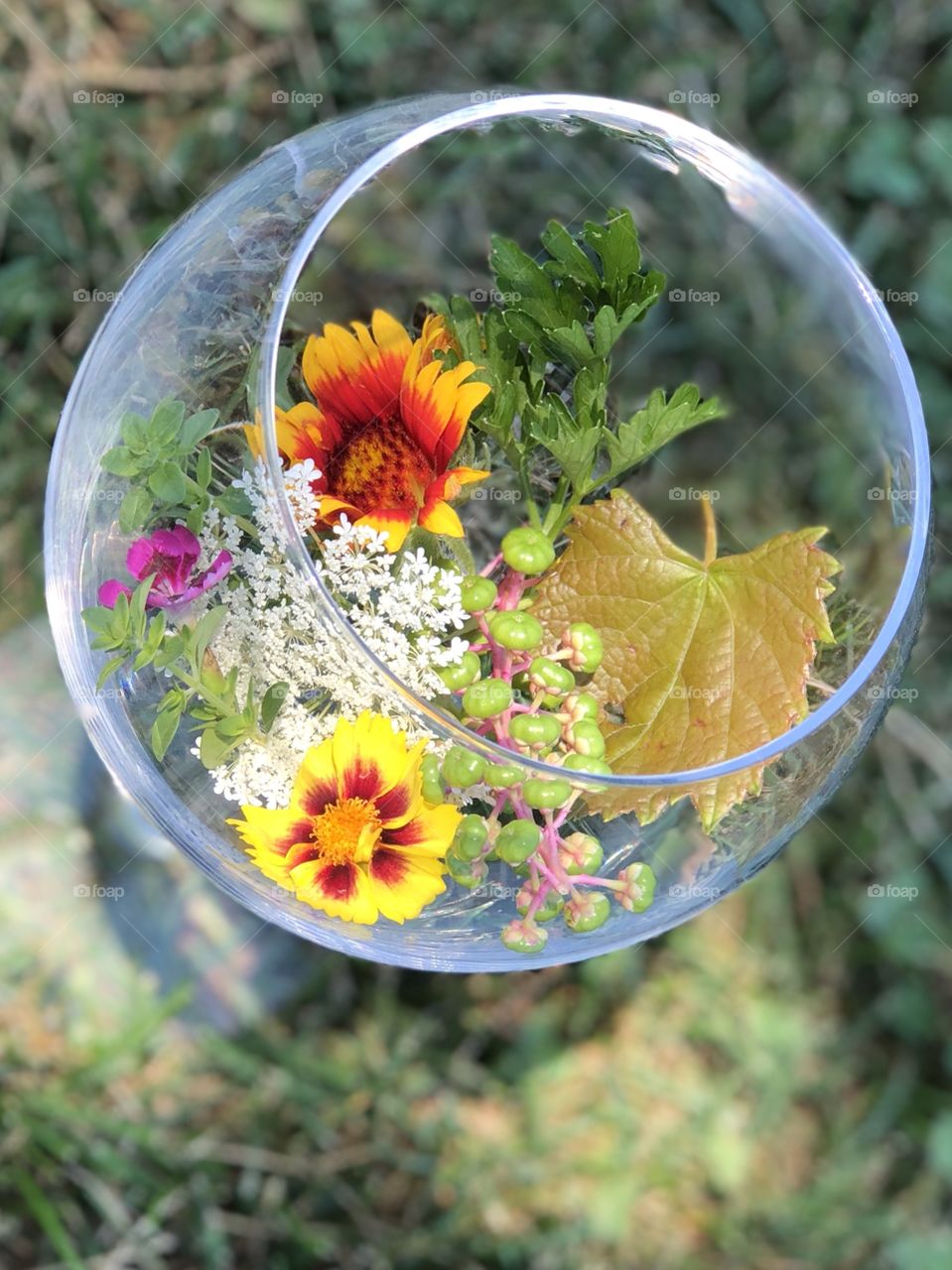 Flowers in a glass