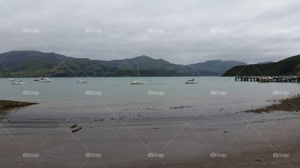 akaroa harbour 