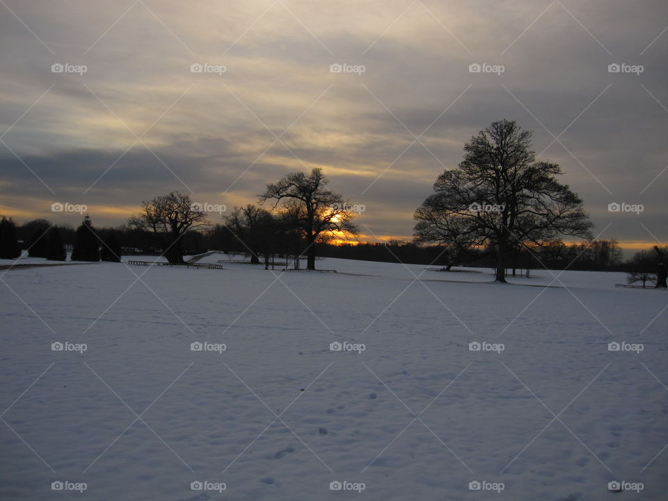 Tree, Landscape, Dawn, Winter, Sunset