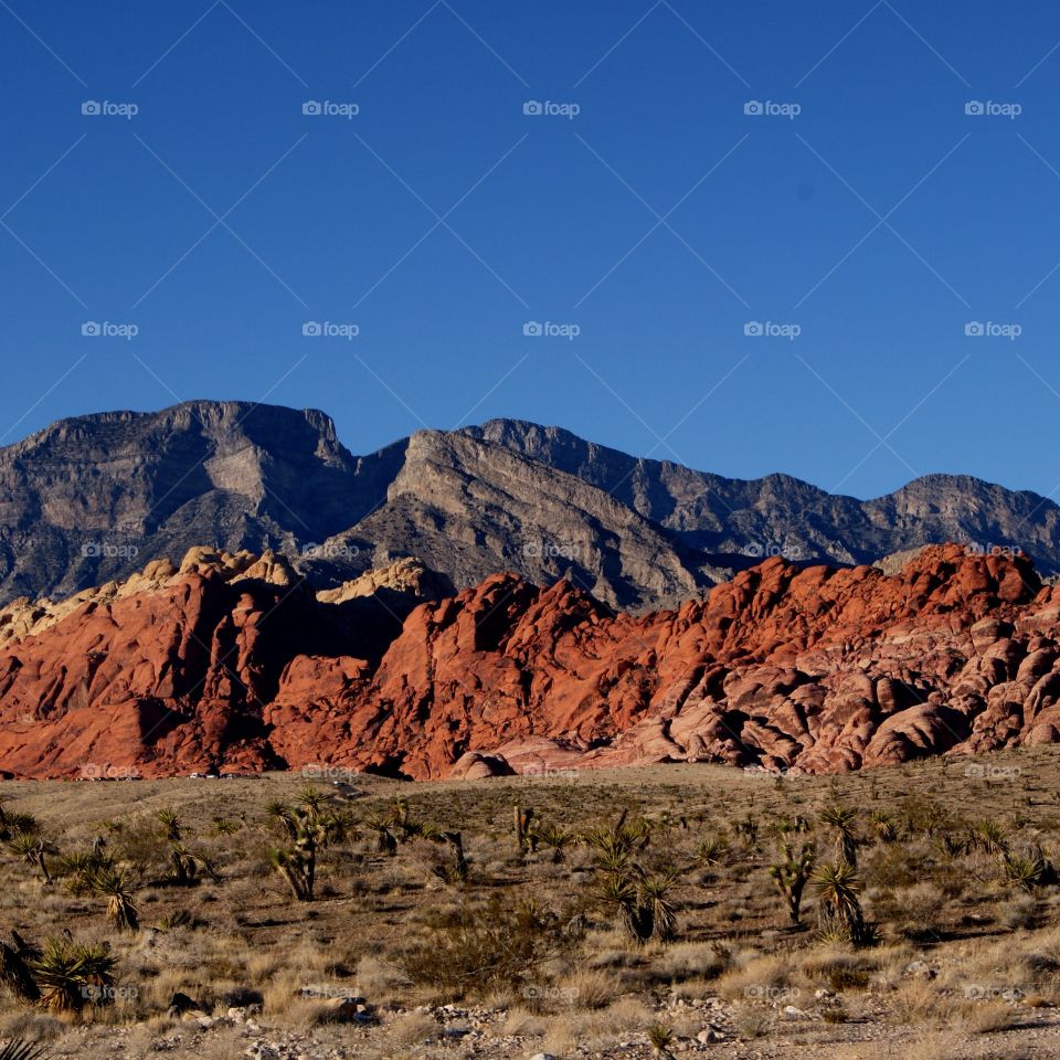 Red rock canyon