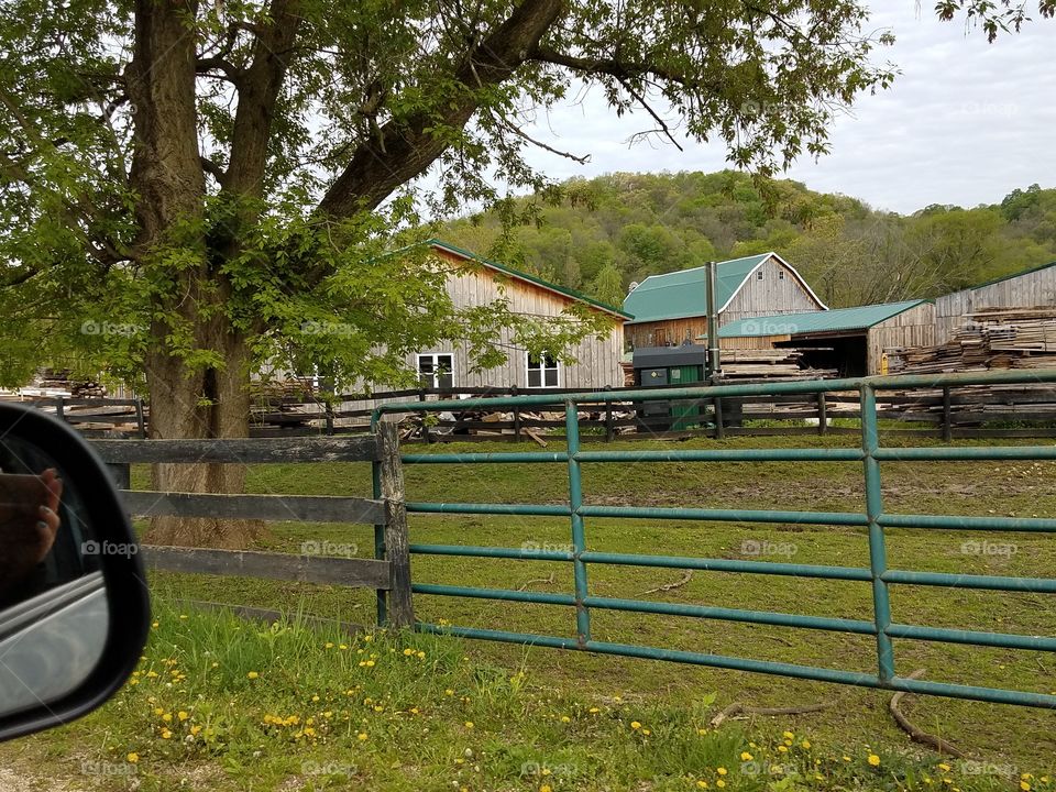 Driving  the Back Roads and enjoying everything around us