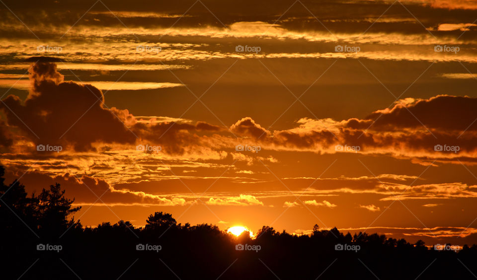 Incredible sunset 
outside my livingroom window