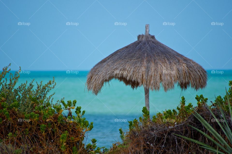 View of thatched roof
