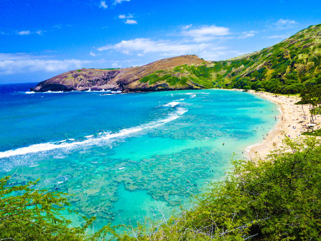 seashore