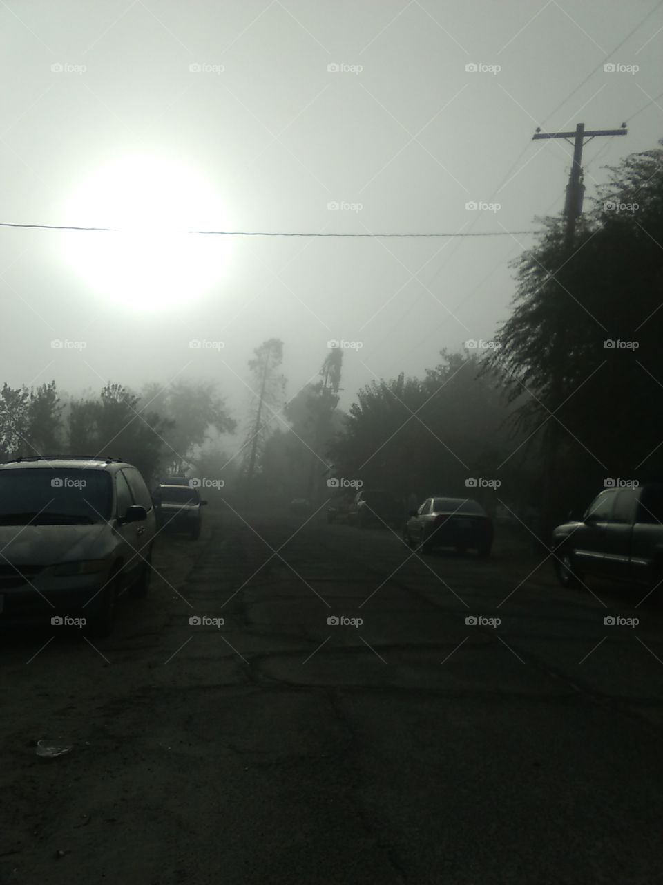 Illuminating Sunrays