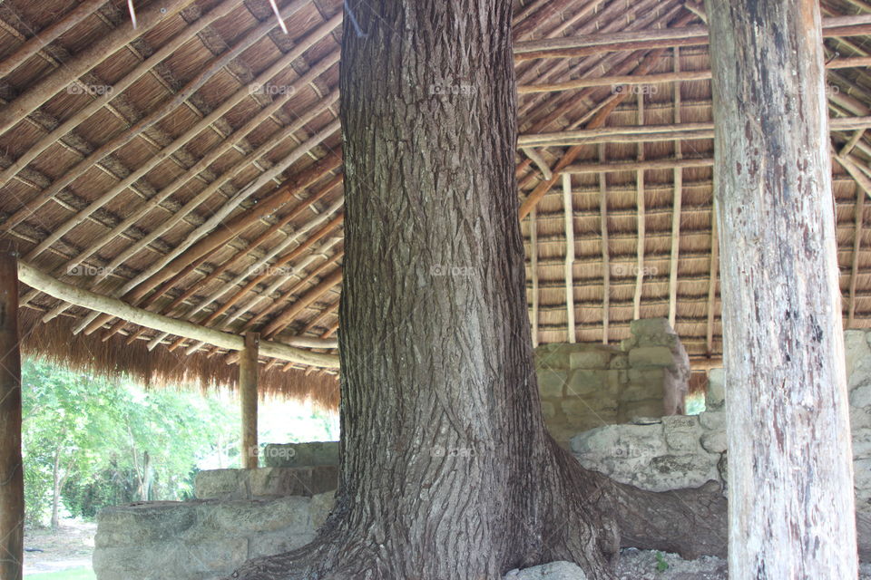 Hut in Honduras 