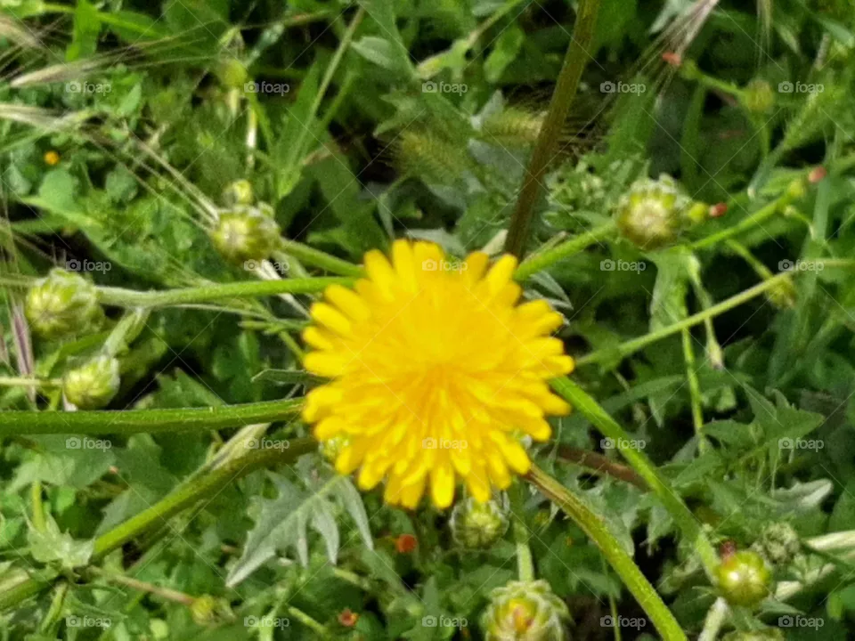 This is Spring!