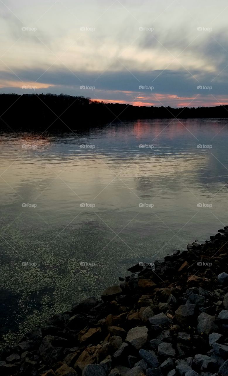 pollen on lake at dusk.