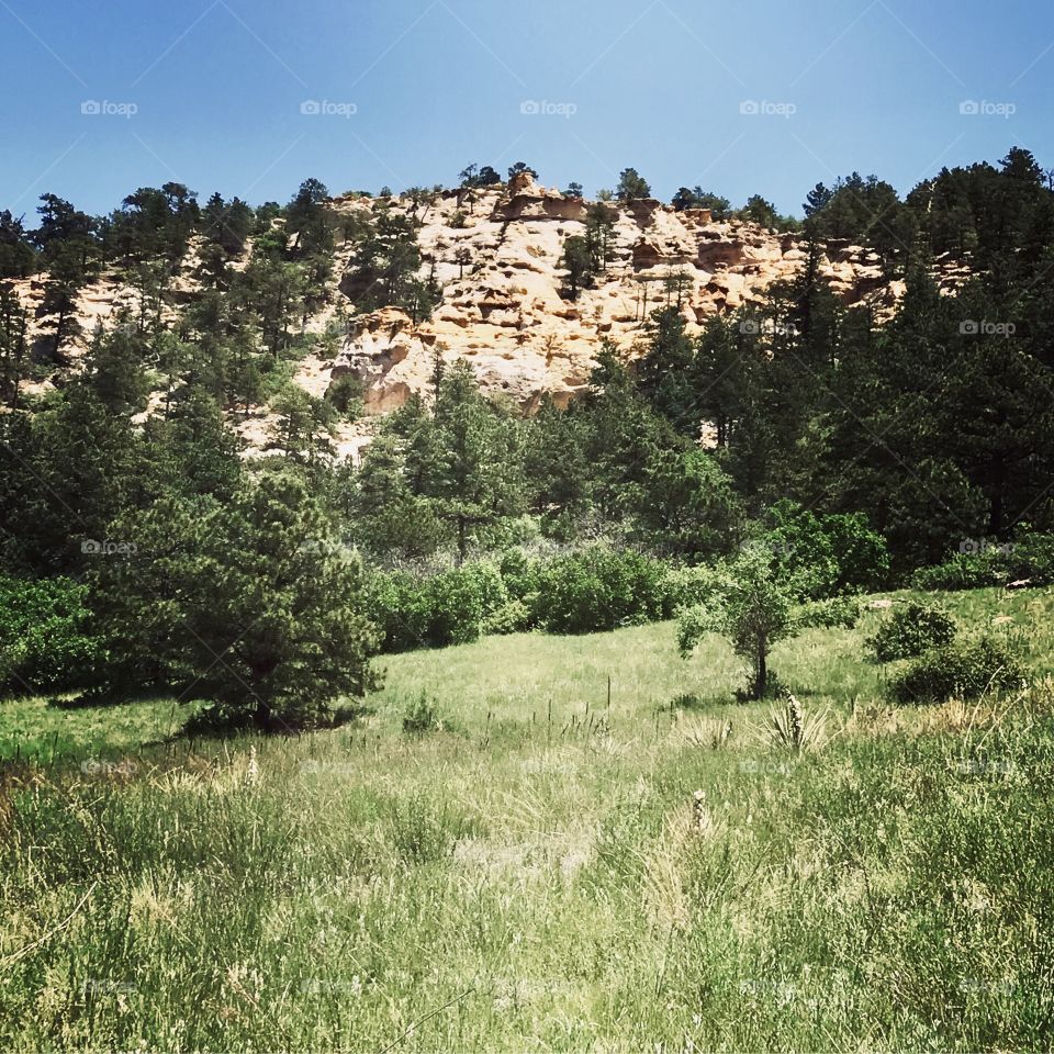 Palmer Park in Colorado Springs, Colorado. It’s a beautiful nature preserve with so many different trails and landscapes.