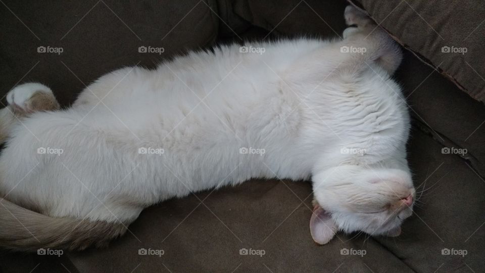 Wish I could sleep this well