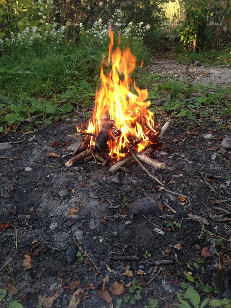 Camp fire