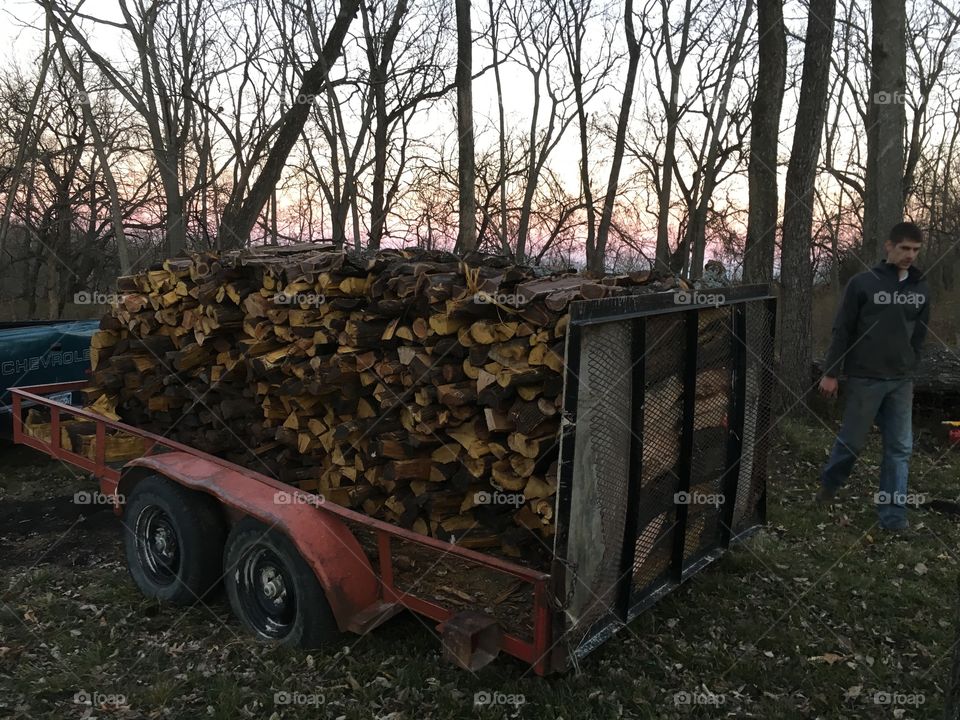 Making firewood