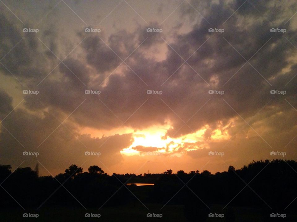 Sunset on the Pond