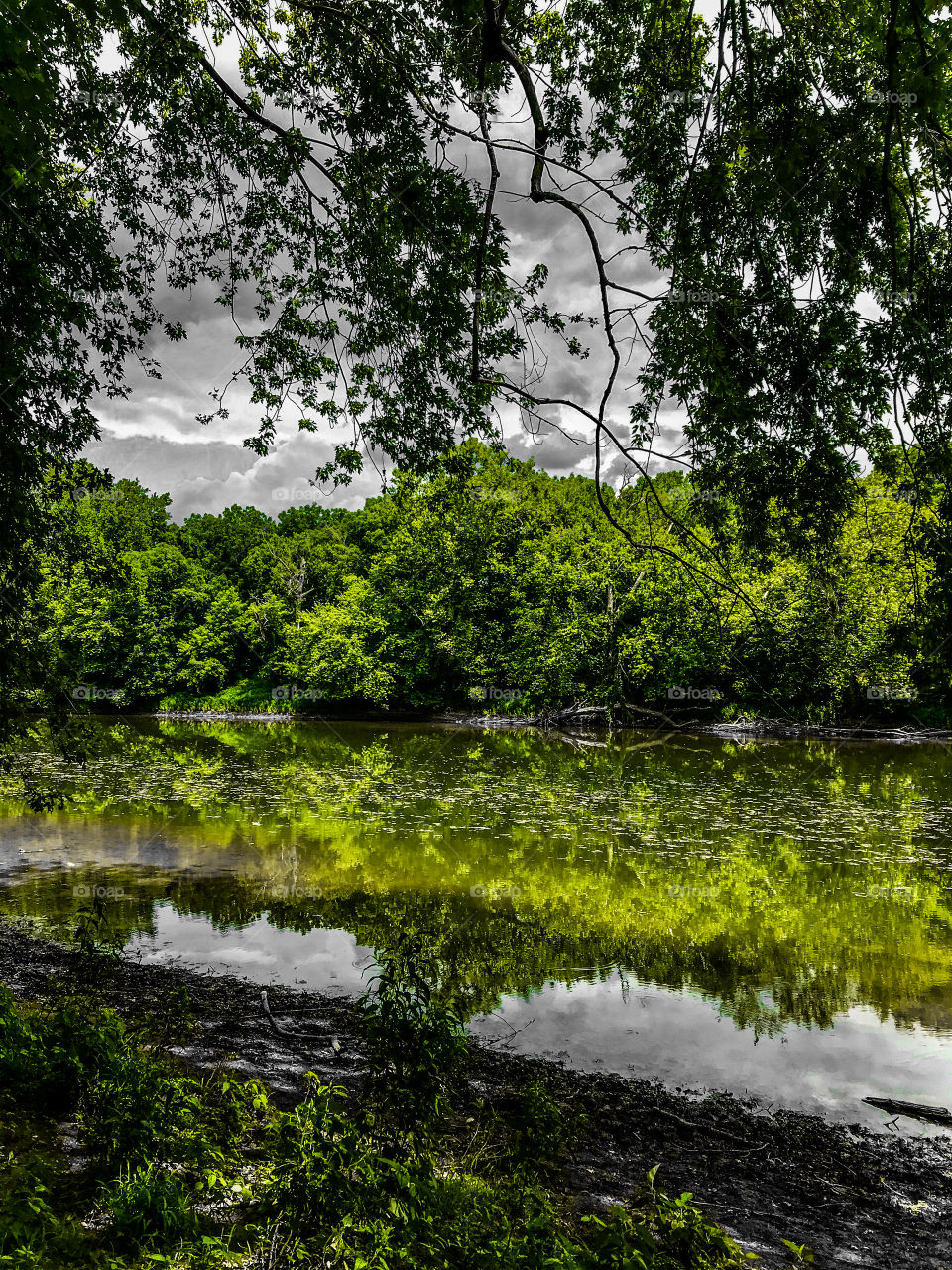 Green lake reflection 