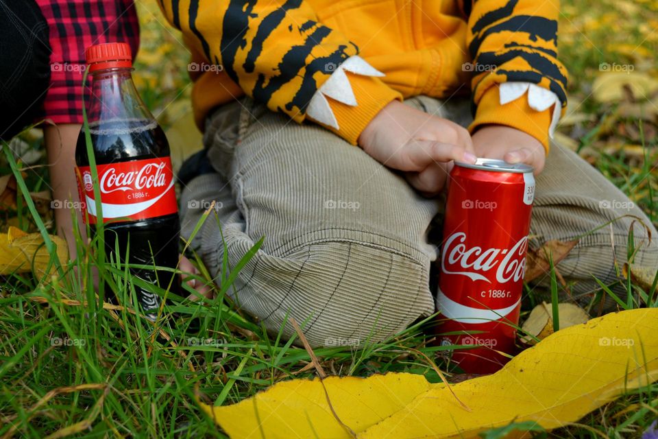 picnic in the park