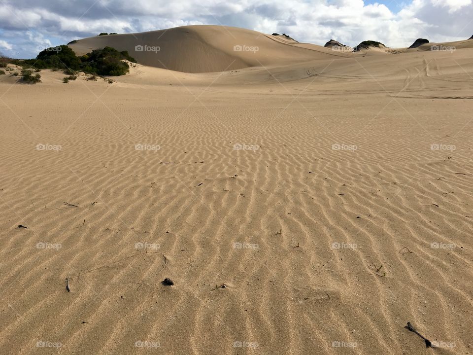 Ripples in the remote sand dunes, coastal South Australia at Southern Ocean at Lincoln National Park, copy text space 