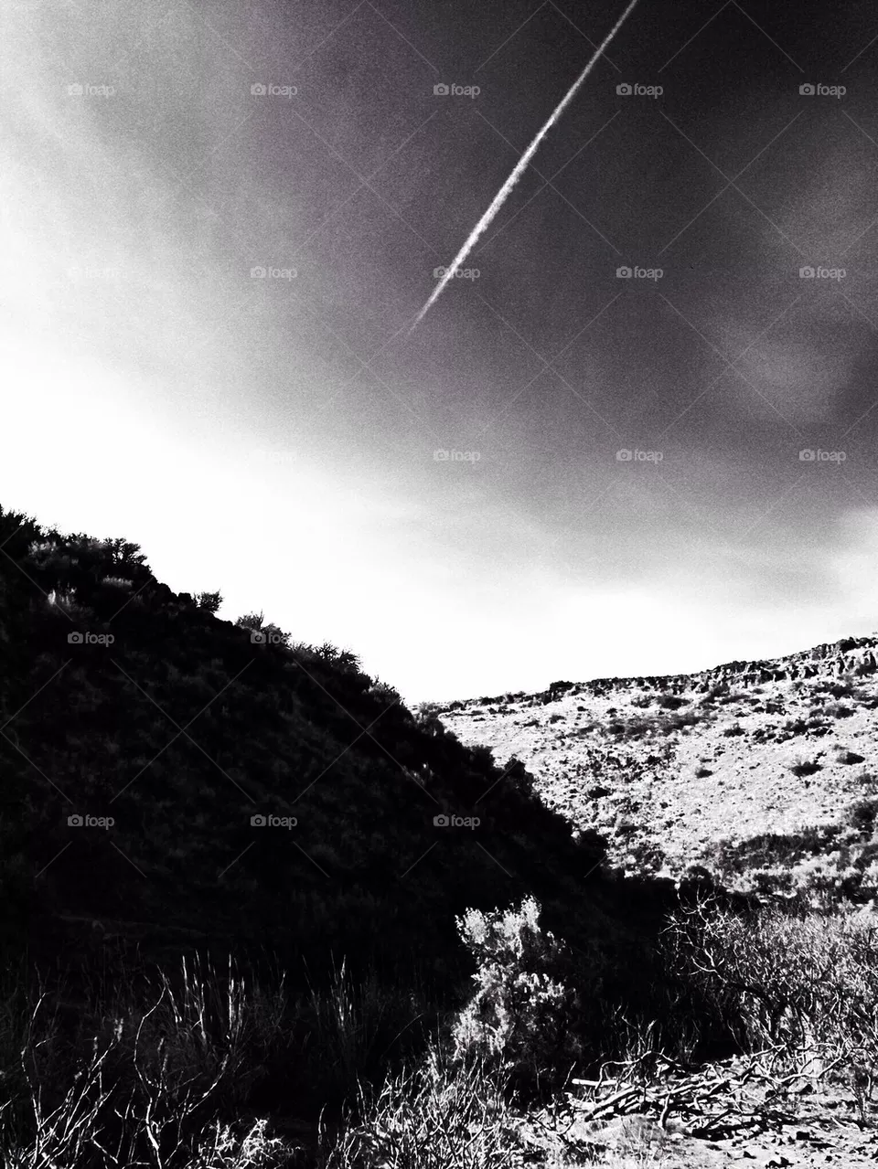 monochrome