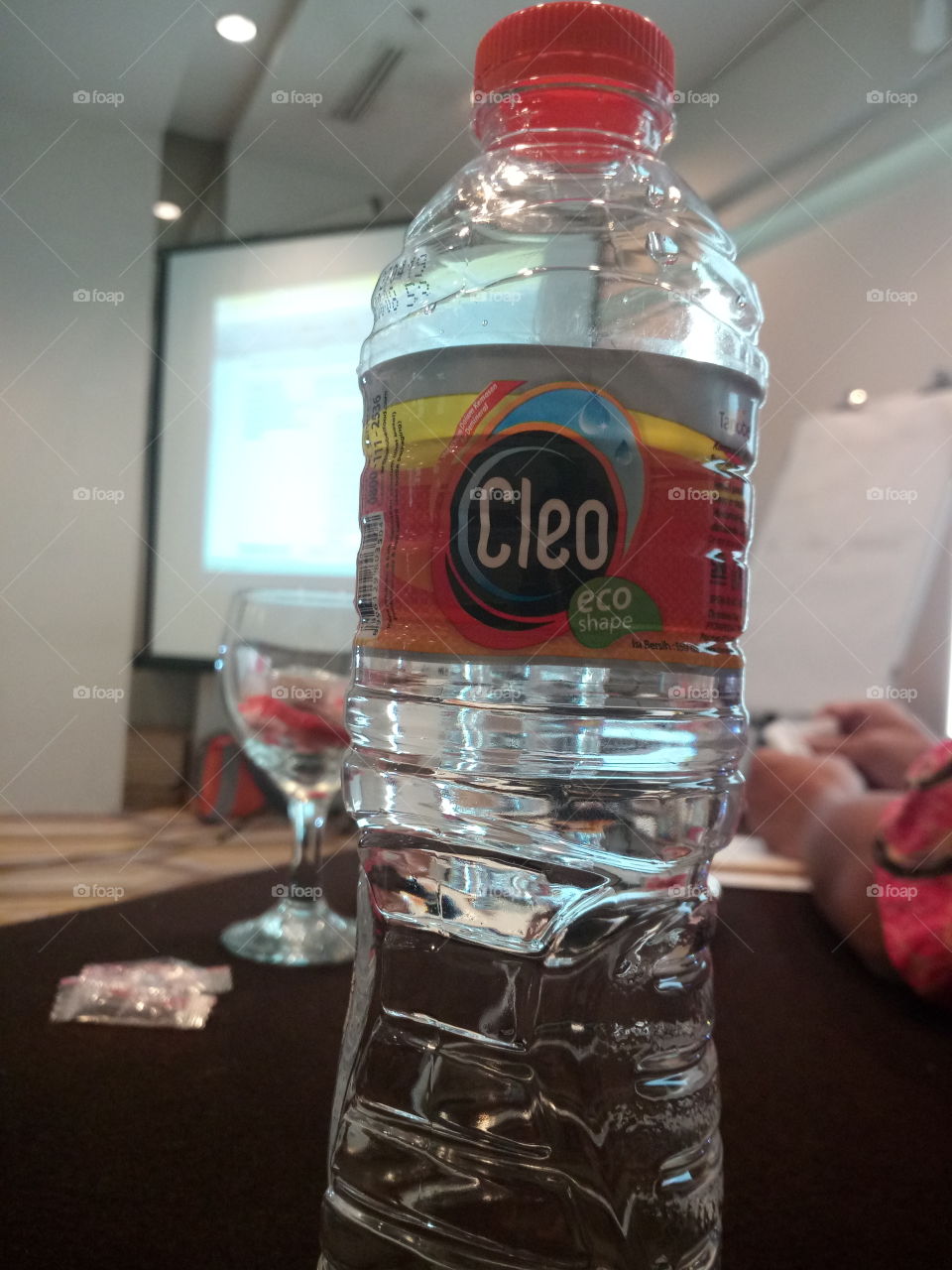 Cleo drink water