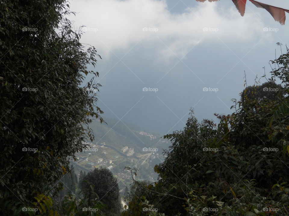 Foggy Morning - View From The Hill Top