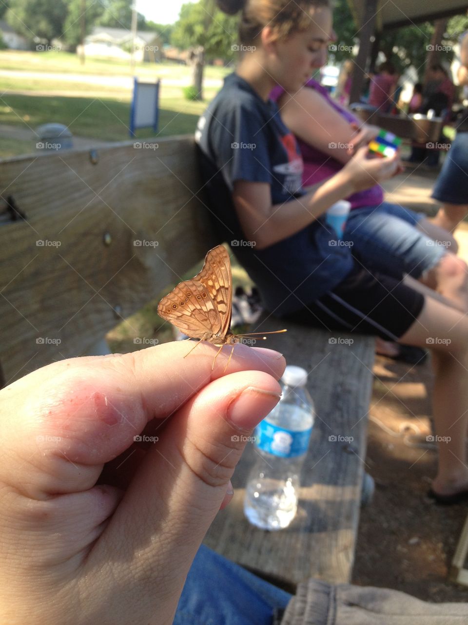 Butterfly. Butterfly on finger