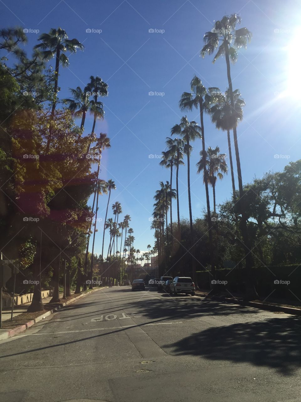 Beverly Hills Road