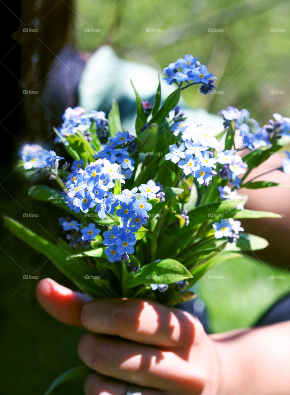 Hand holding bouquet of forget-me-nots
