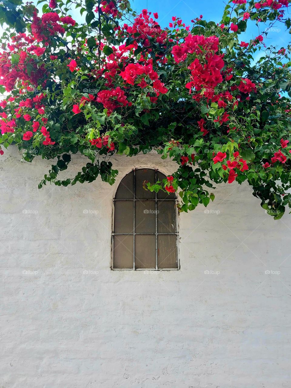 complementary colors