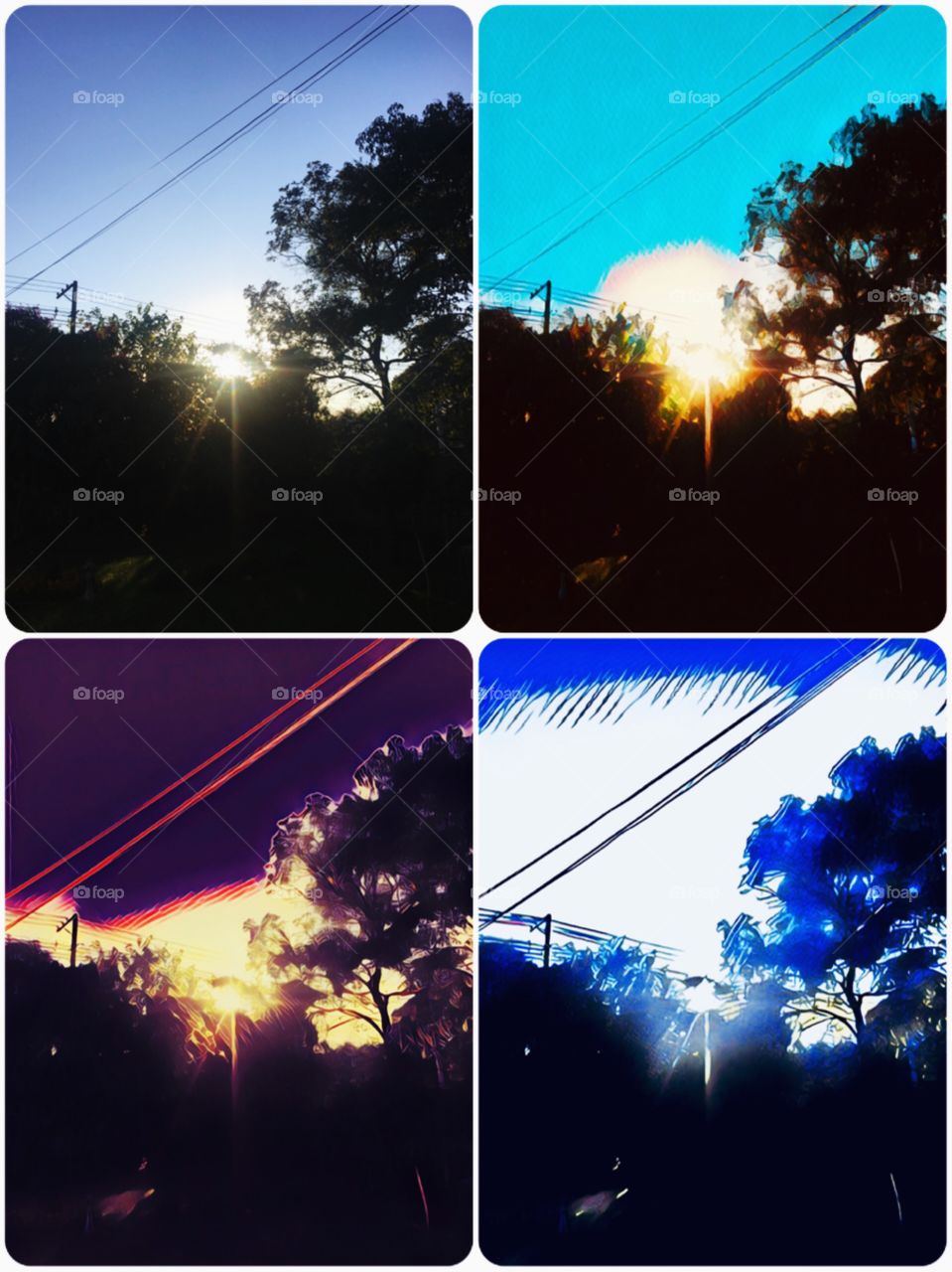 🎨 4 cores do #amanhecer. O #sol se esconde / aparece / resplandece!
☀️ #natureza #paisagem #fotografia #árvores #céu #cores