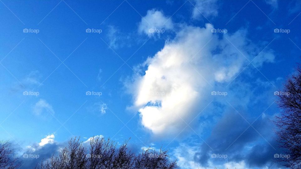 cloud in the sky
