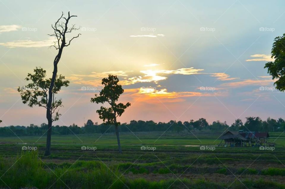 Nature in the countryside