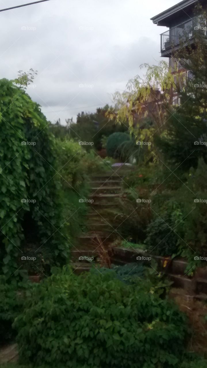 Garden Steps