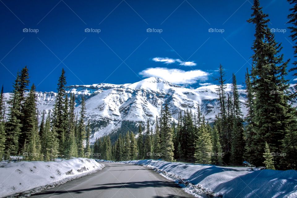 Near Peyto Lake