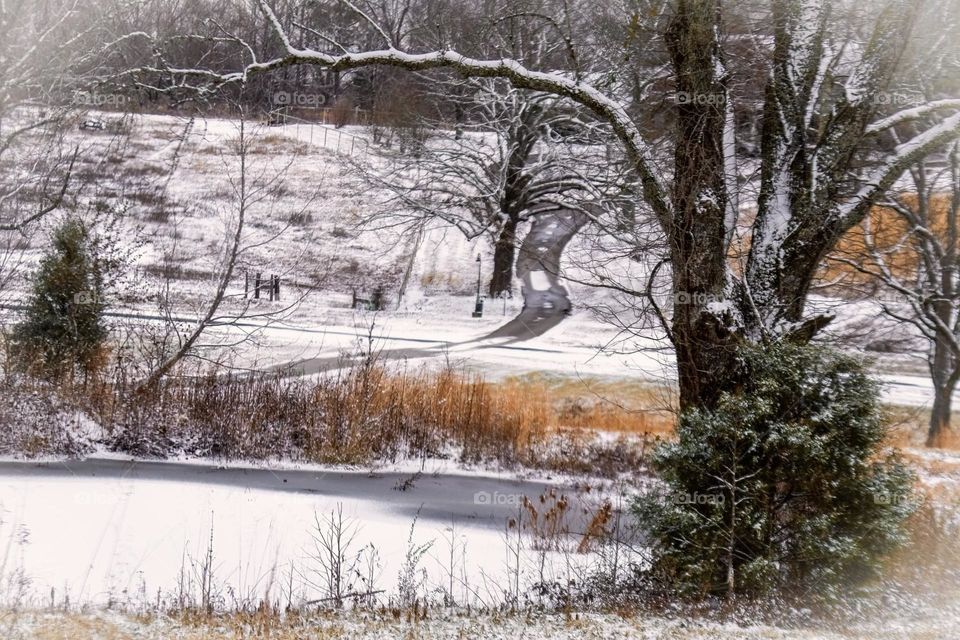 Snowy Pond