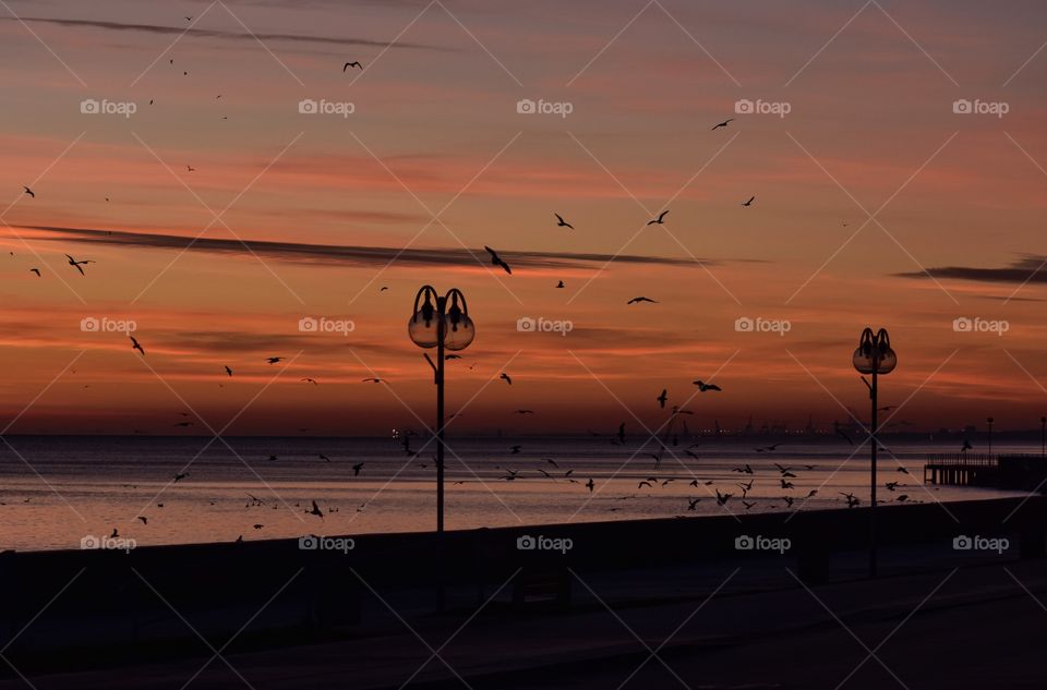 Sunset, Beach, Sea, Ocean, Water